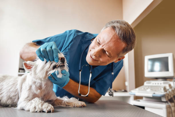 Best Emergency Dental Extractions in Needles, CA